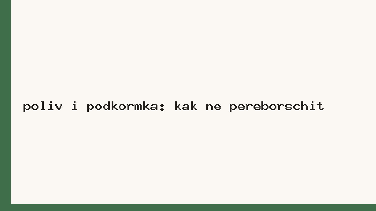 Полив и подкормка: как не переборщить